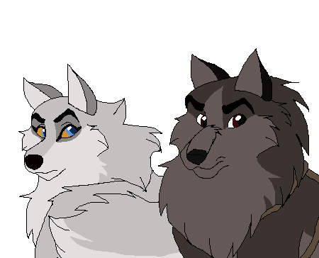 Same Blood Yet So Different