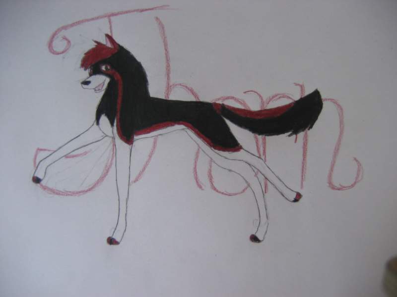 Thorn is my Doggie