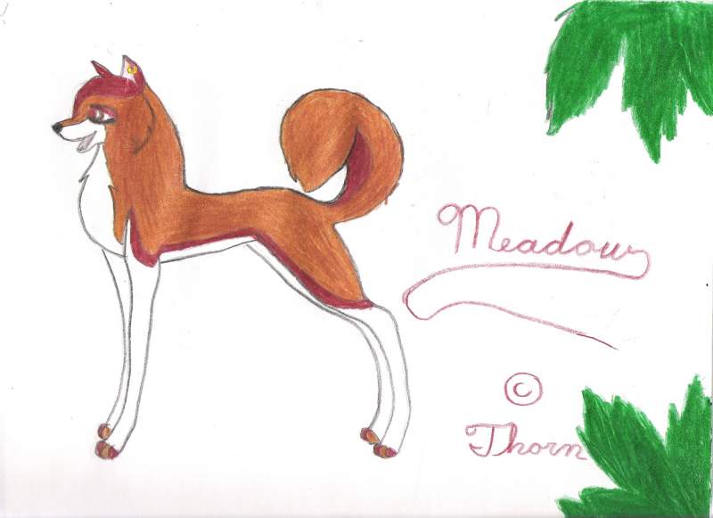 Meadow