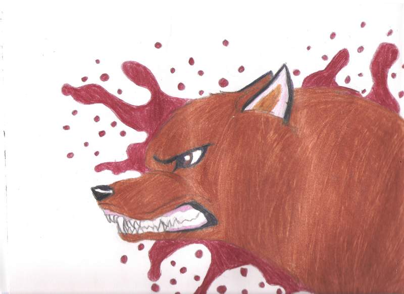 Bleach Wolves