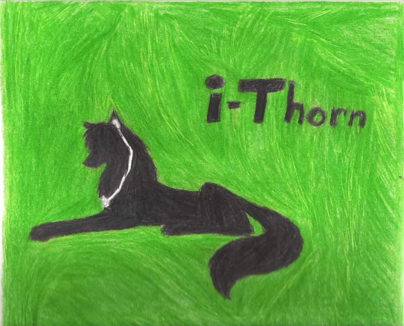 i- Thorn