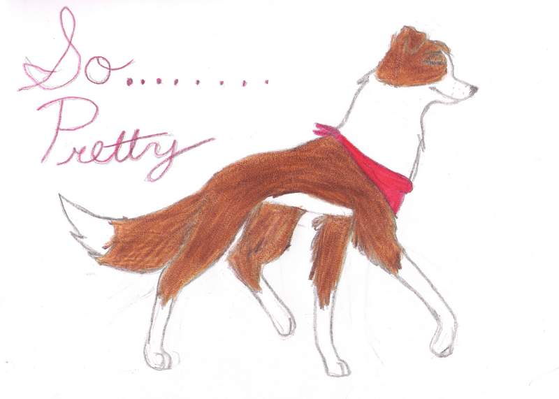 So Pretty Contest