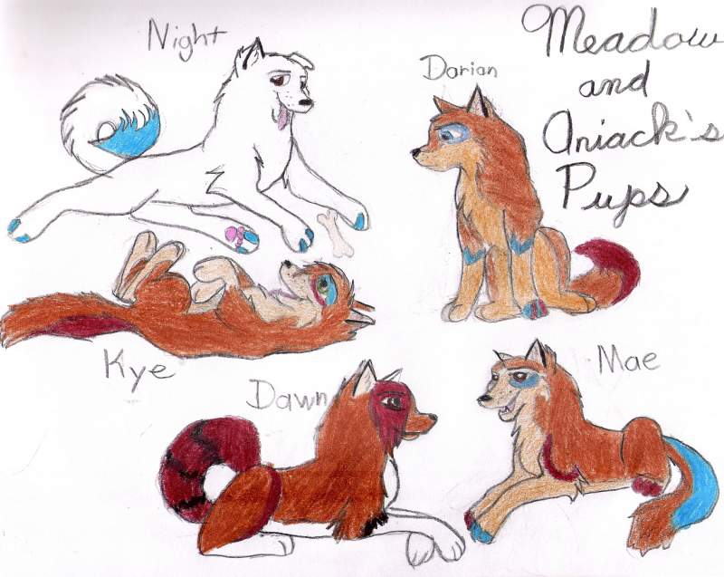 PUPPIES!!!!
