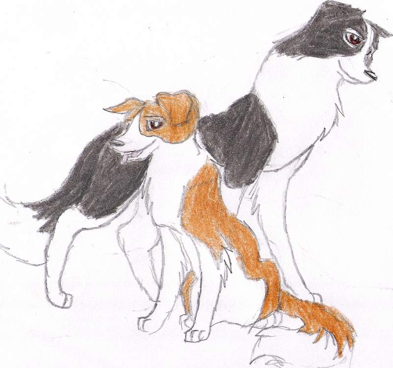 Squirl and Moon
