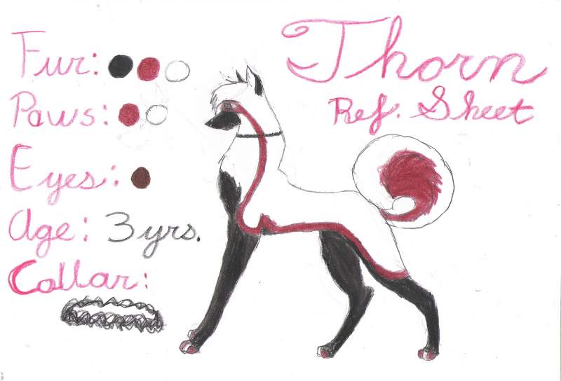 New Thorn