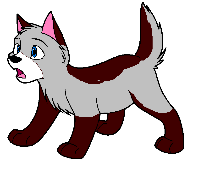 Puppy