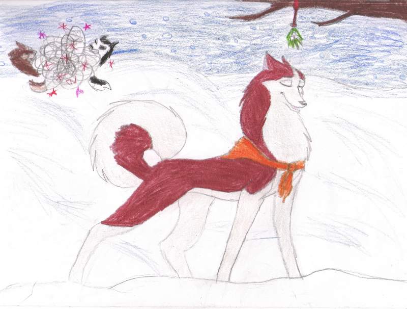 Mistletoe!!!!