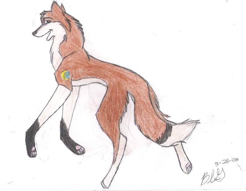 For Crystal Huskie