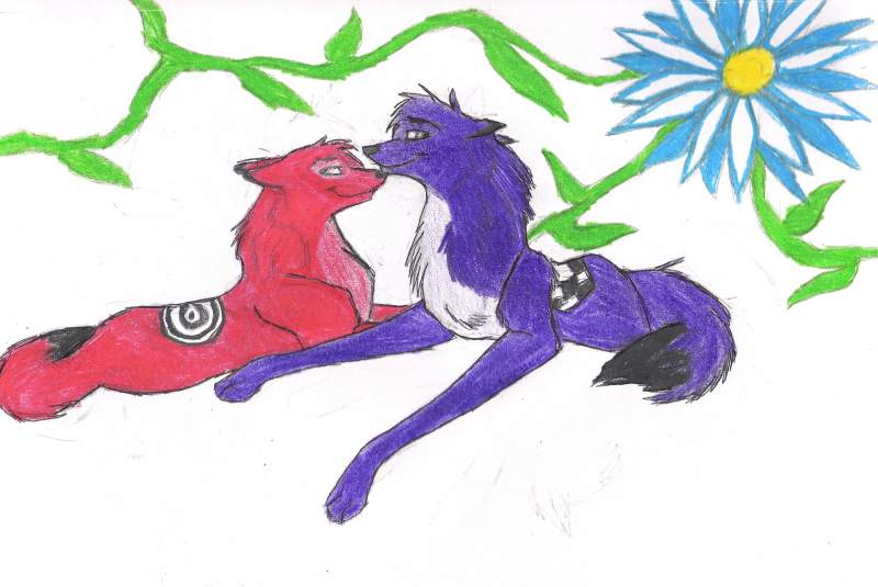 Rook and Mitthy
