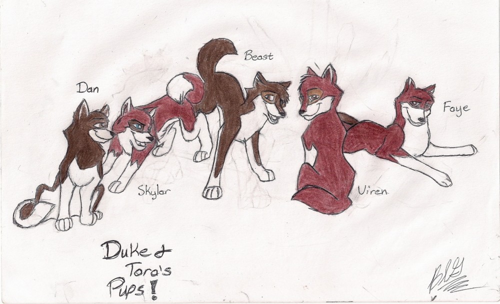 Duke and Tara's Pups