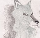 The Look Of the Wise