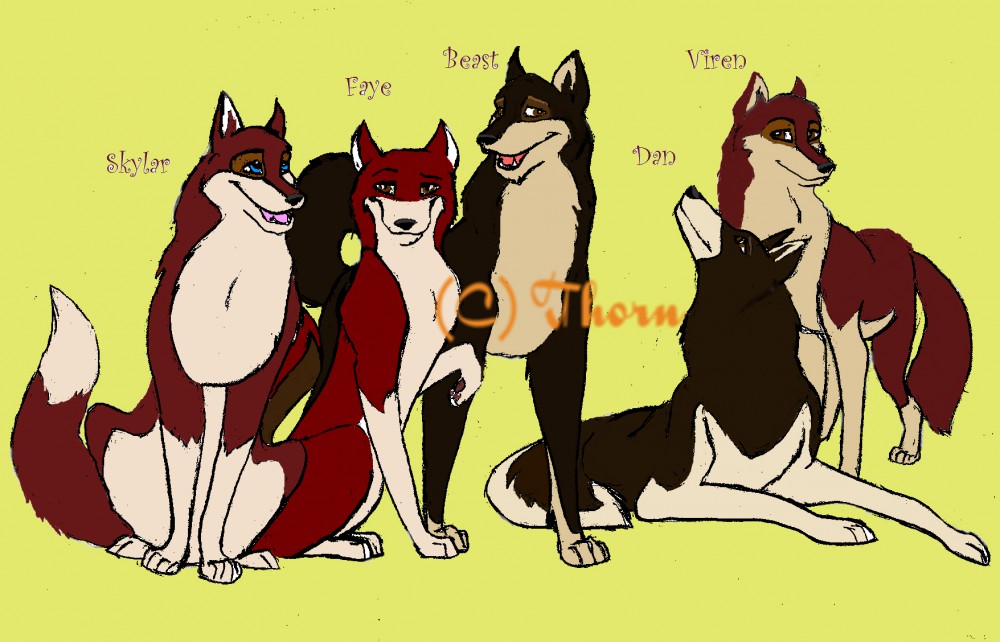 Pups Grown Up!