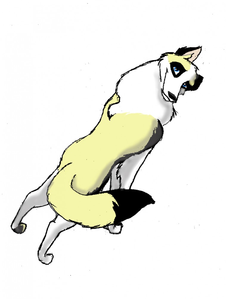 Sadie for ZukotheCat!