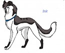 Ink for Nyx!