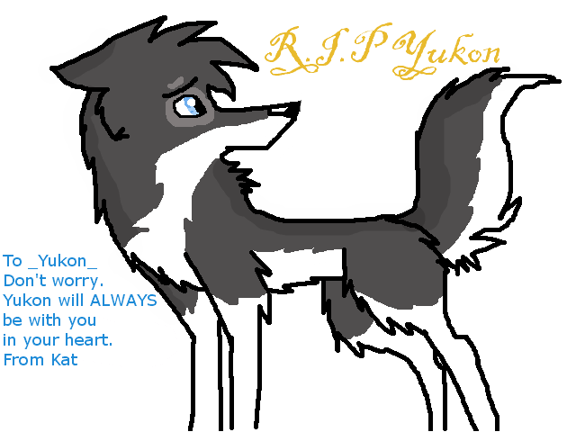 A special gift for Yukon