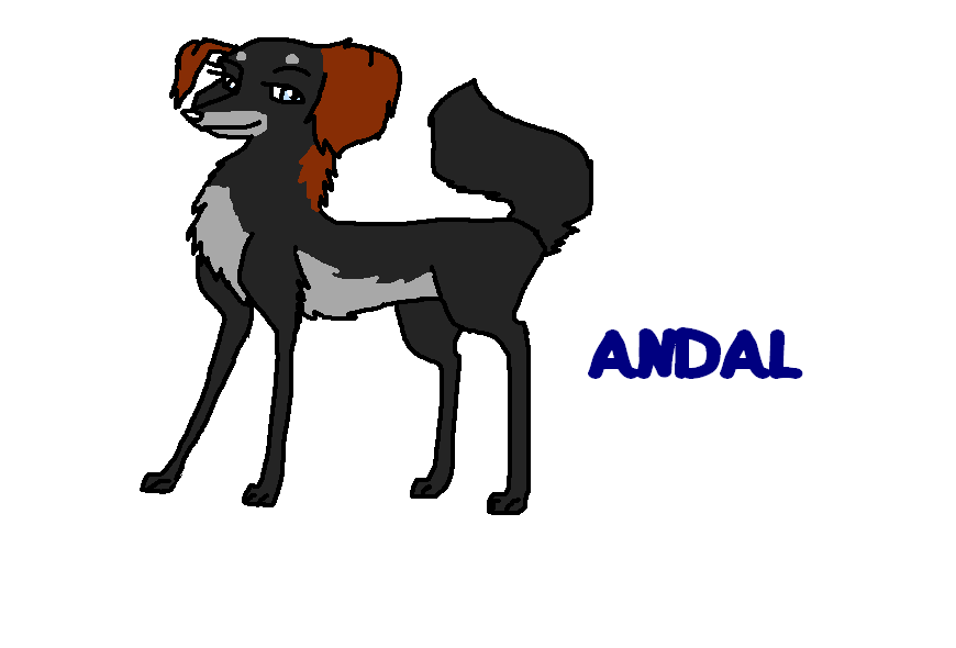 Andy 