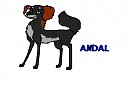 Andy 