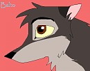 Balto's eye.