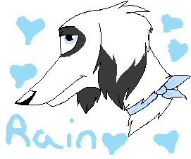 Rain test