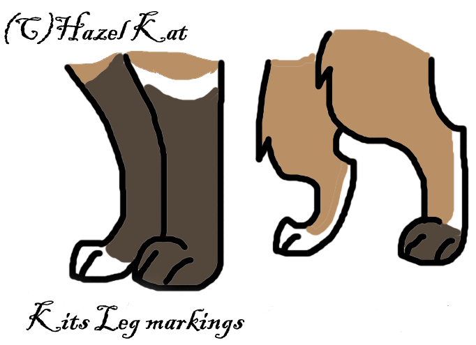 Kits leg markings