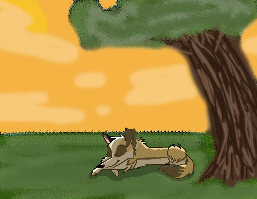 Peaceful Evening~Gift for Zukothecat