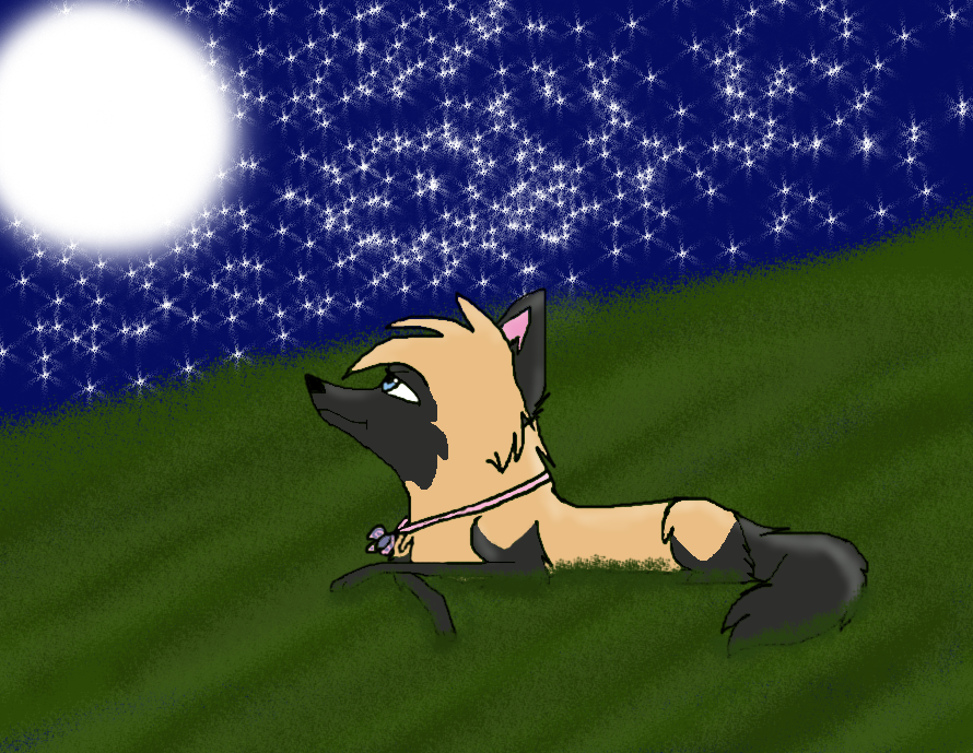 Moonlight