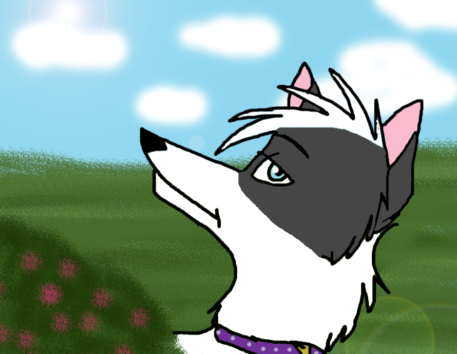 Trade with Lone-Bonnie Lass