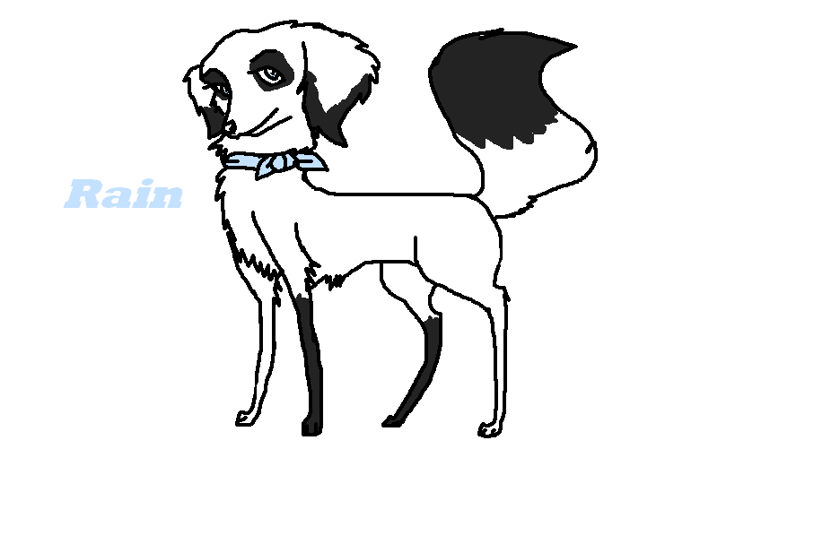 Rain my fursona