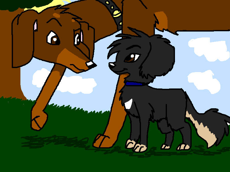 Benji's pedigree chum