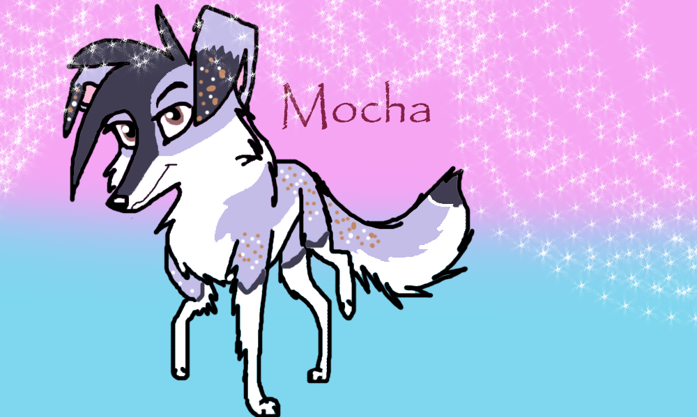 Mocha