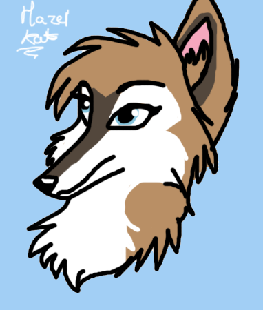 Speed-drawing:Kiiit