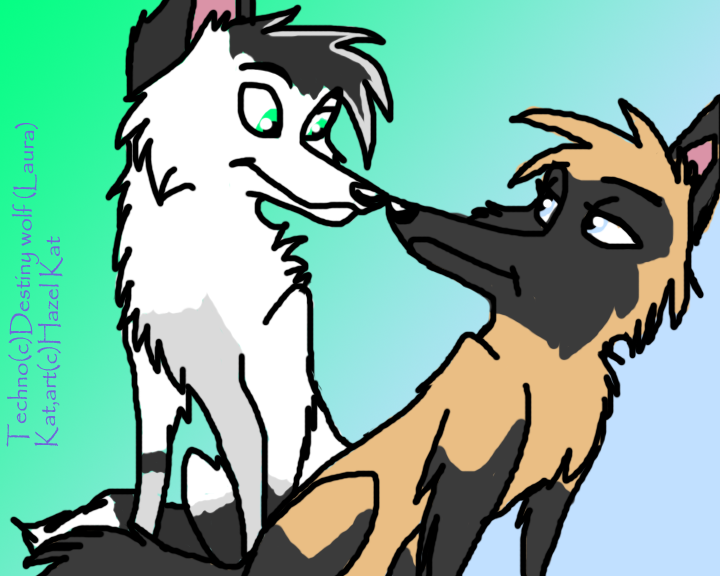 Pack activity 3:Romance