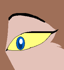 I attempted and failed.
