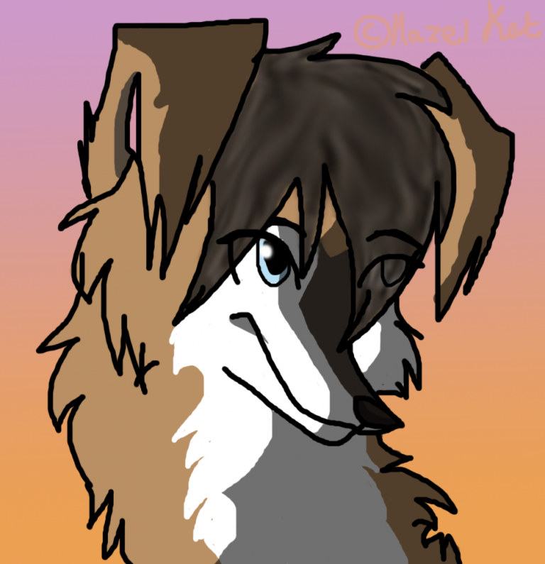 KIT TEST.