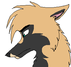 Doodle