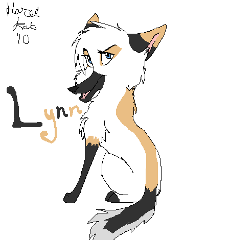 Next up:Lynn