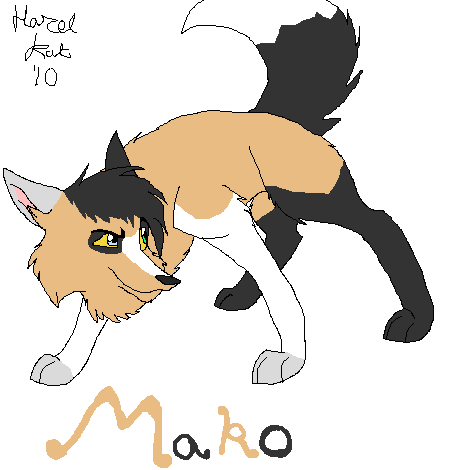 Mako now