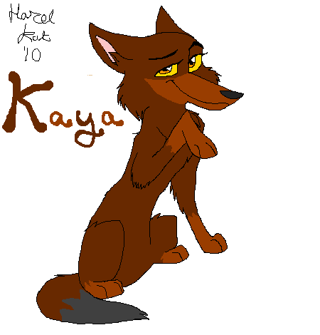 Kaya now