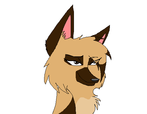 Sandi doodle