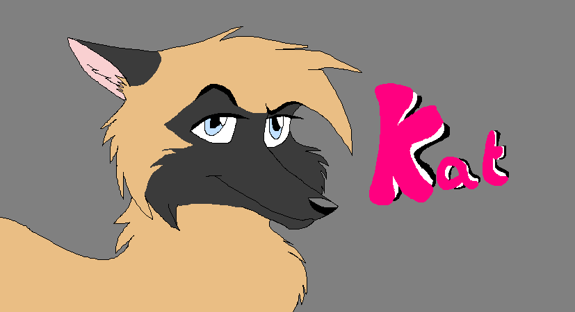 got bored
