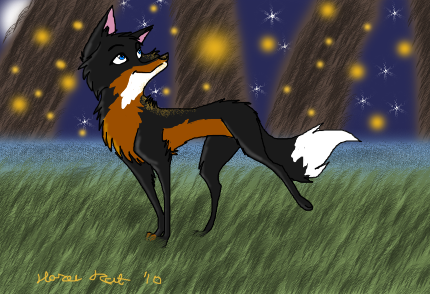 The fireflies have come out to play
