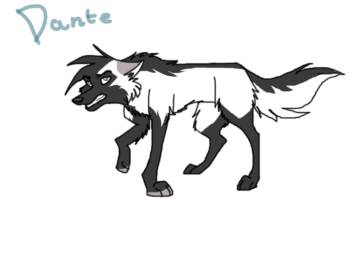 DANTE.8D