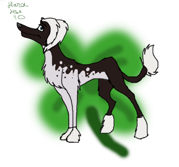 Trade with Luckshamrock-Luckyshamrock.o3o