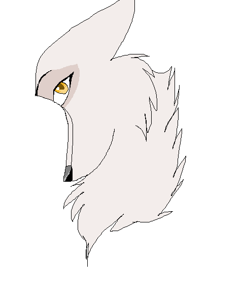 DURRR ANIOOOO