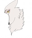 DURRR ANIOOOO