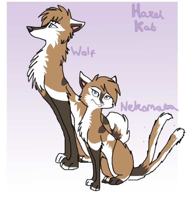 Wolf form and...Nekomata.o-o