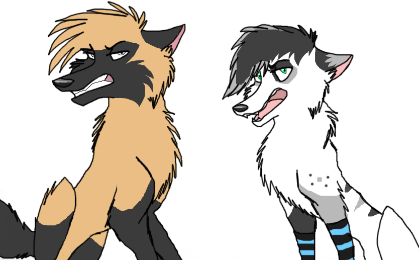 RAWRFINISHED