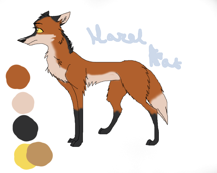 Maned wolf adoptable
