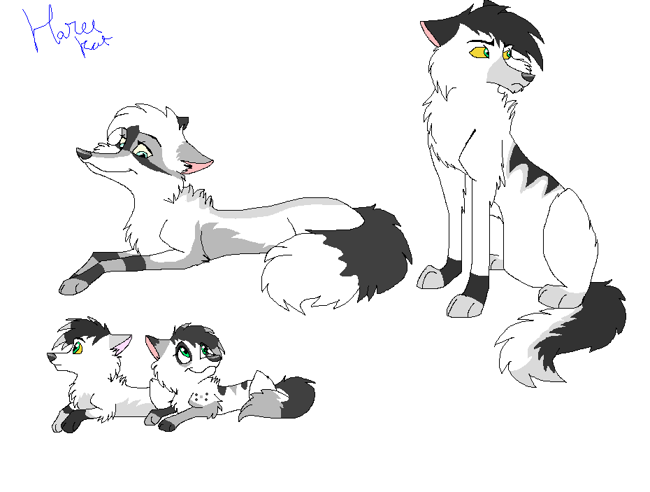 The Blackpaws-request from laura