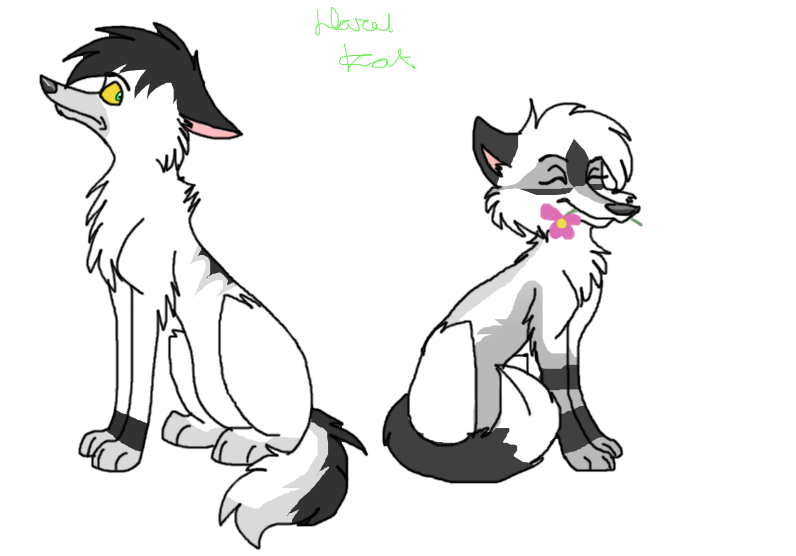 Fate and Maxi-request from Laura